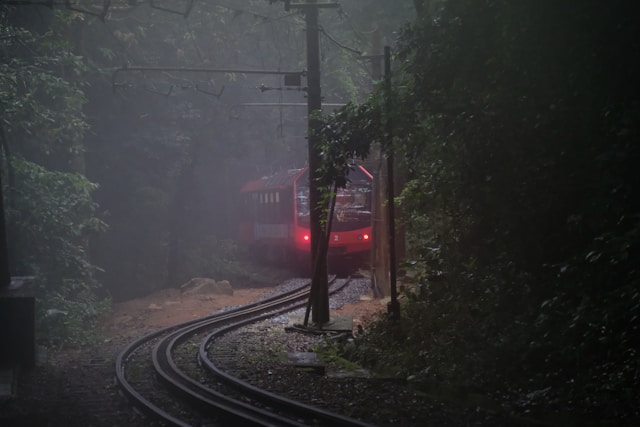 Trem do Corcovado a foto mostra ele surgindo em meio a flrosta da Tijuca.